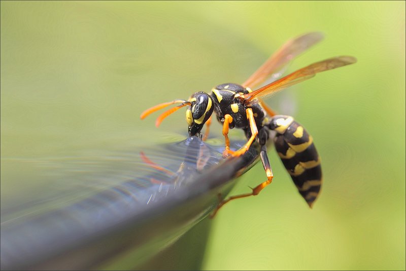 Глоток водыphoto preview