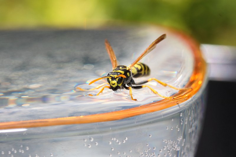 Глоток водыphoto preview