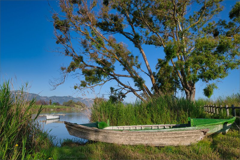 озеро, рассвет, дерево, лодка На берегуphoto preview