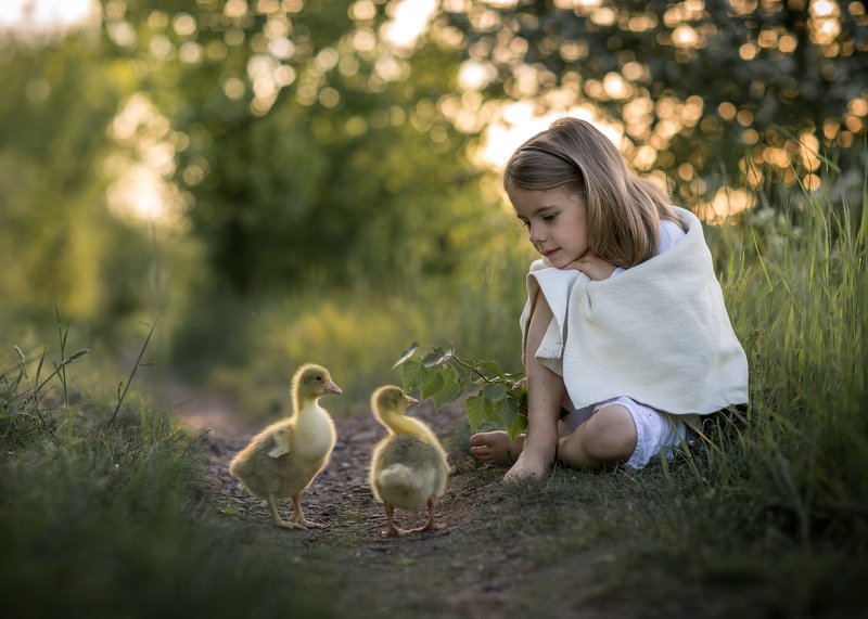 gooseherd goose little girl child cute bokeh dranikowski path magic childhood Gooseherdphoto preview