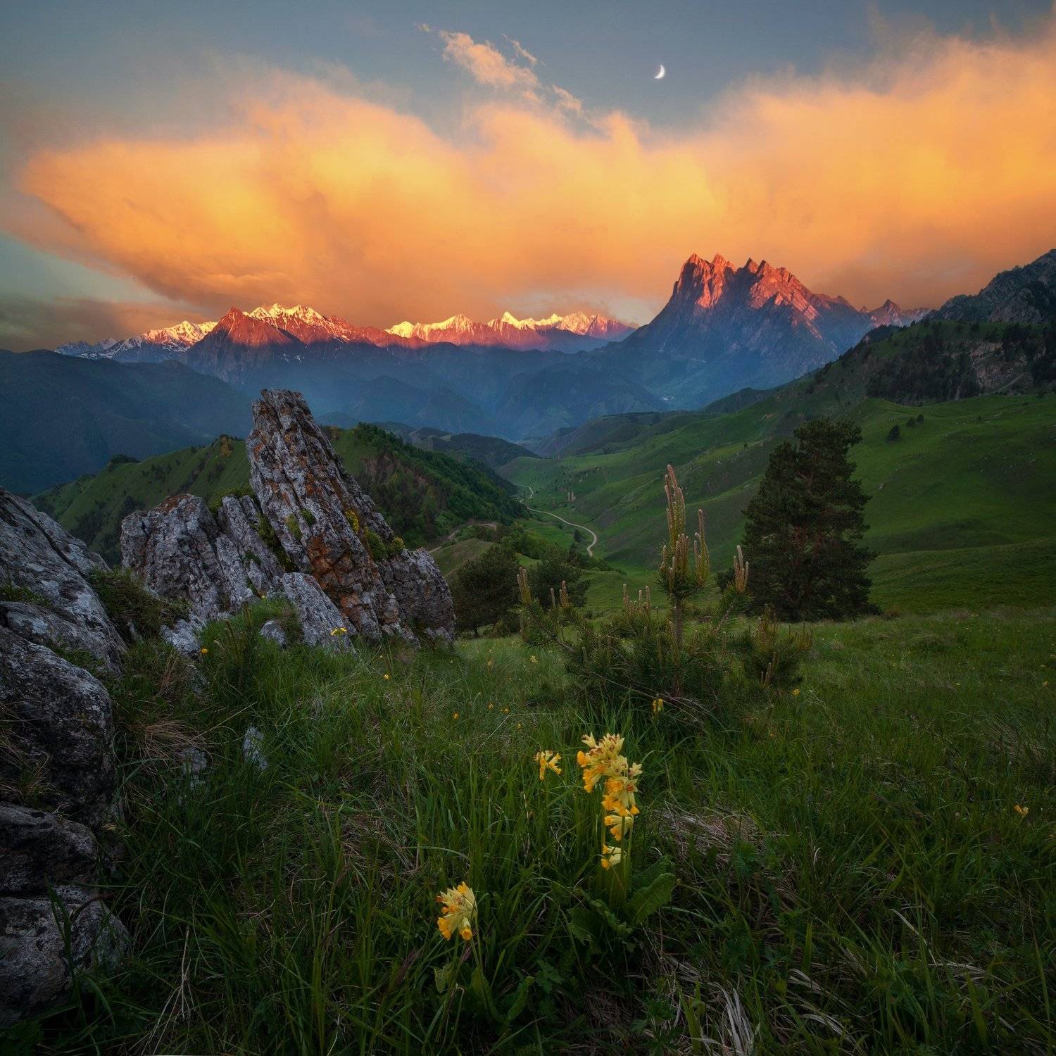 , Алексей Дранговский