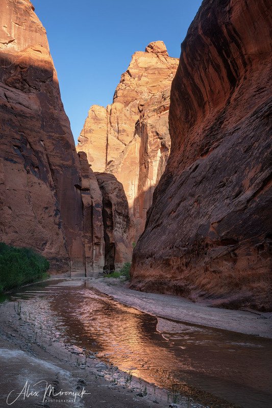 США, Аризона, Юта, каньон, щелевой, слот, пустыня, река, скала, отражение,  Каньон реки Парайяphoto preview