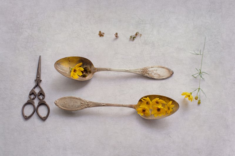 yellow, teaspoon, scisors teatimephoto preview
