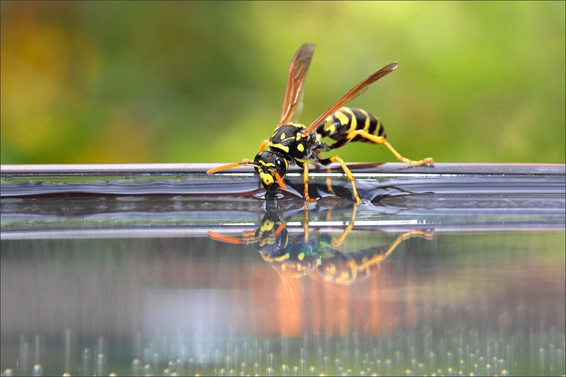 Выпить мореphoto preview