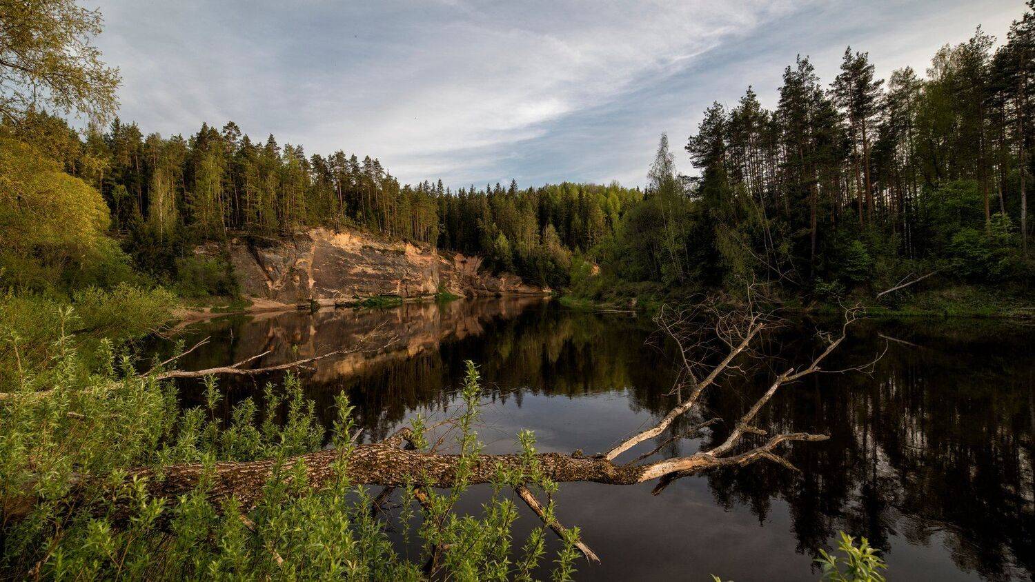 ***. Автор: Edgars Gerskovics , Edgars Gerskovics