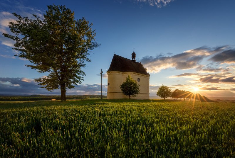 landscape, tree, sunset, panorama Sunset at The Chaple (Úsov)photo preview