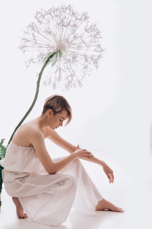 портрет, девушка, модель, белое, одуванчик, высокий ключ, нежность, photo preview