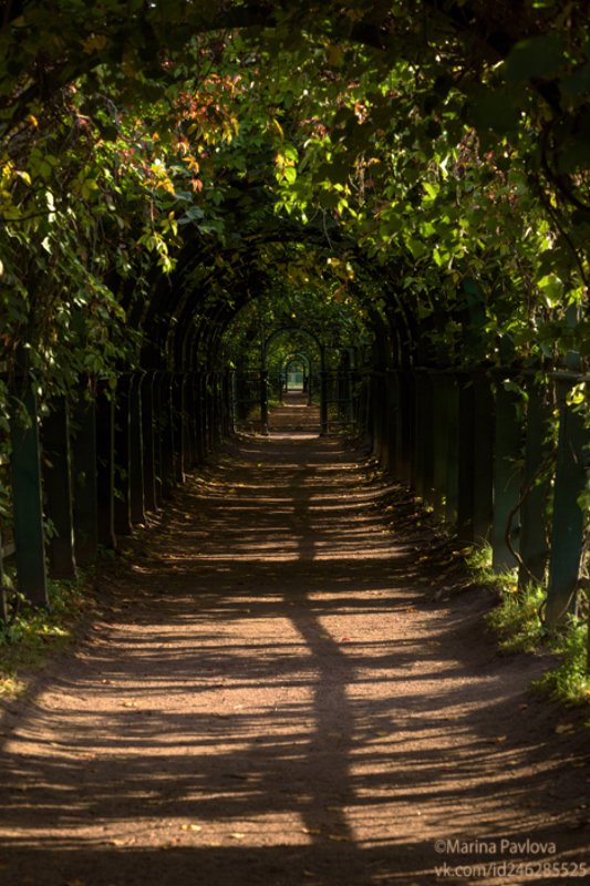 город, петергоф, верхний сад, фонтаны,лето, nikon Воспоминание о летнем Петергофе... фото превью