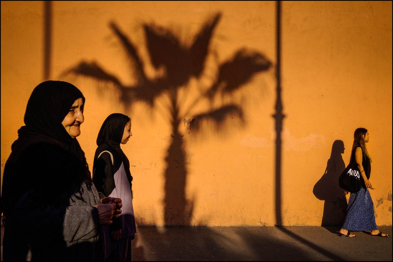 yancho sabev, street, morocco, marrakech, outdoor, palm tree, color ~ Two Worlds, One Palm Tree ~photo preview