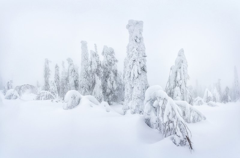 пермский край, снег, зима, туман В снежном плену.photo preview