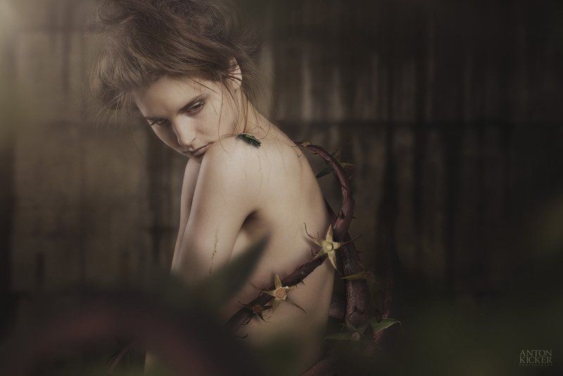 Tina фото превью