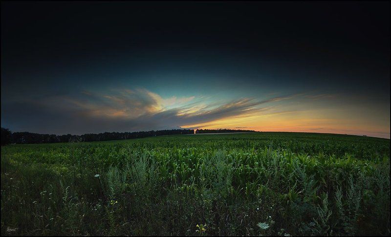 Разноплановое) фото превью