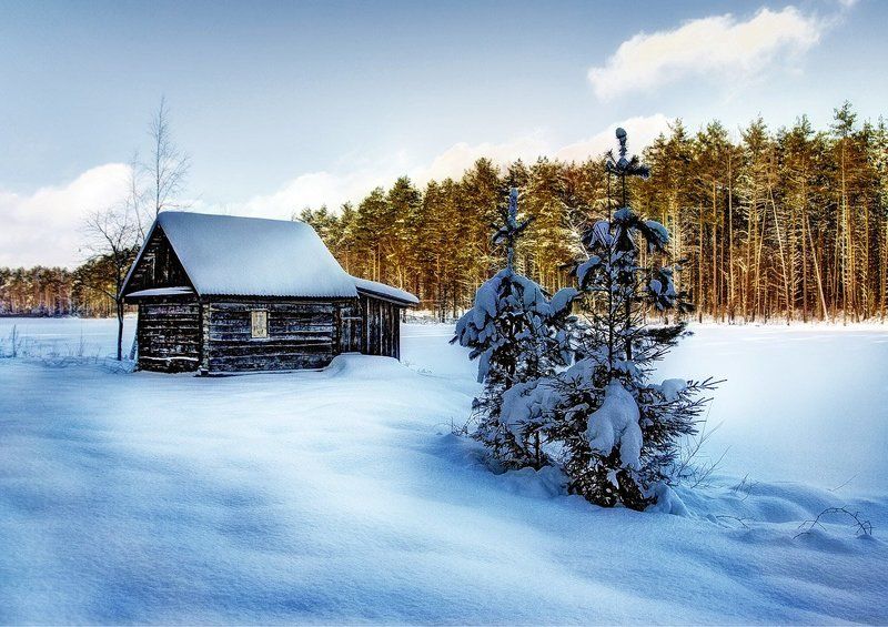 У леса на опушке...photo preview