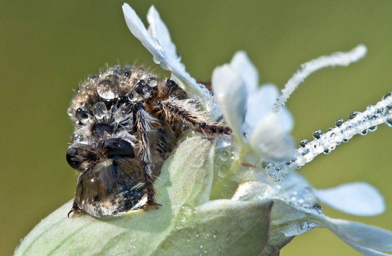 Хорошо посиделиphoto preview