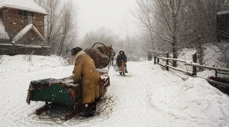 Кони запряжены! фото превью