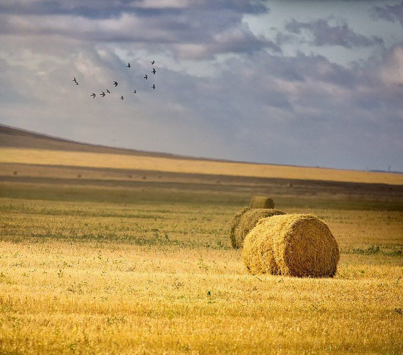 осень,сено,солома,поле Стожокphoto preview