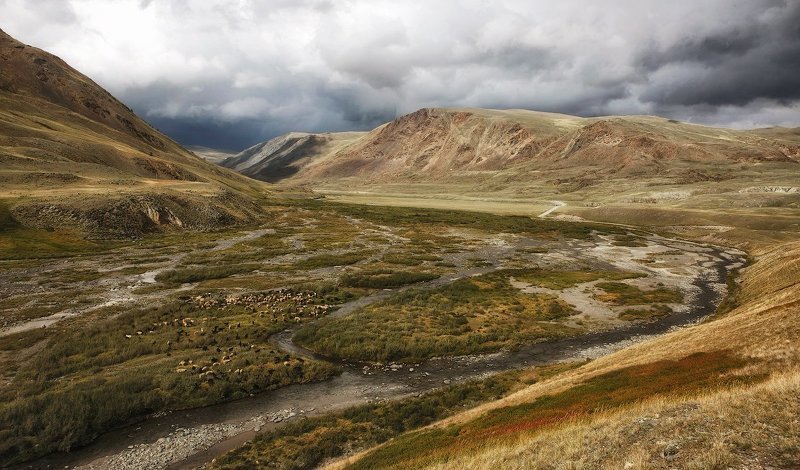 Горный Алтайphoto preview