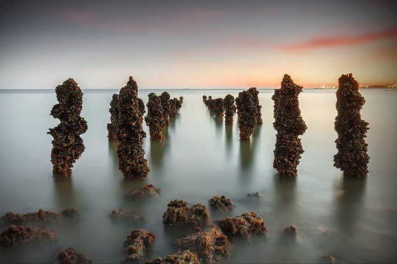 paulo flop, Aliens of the Deep.photo preview