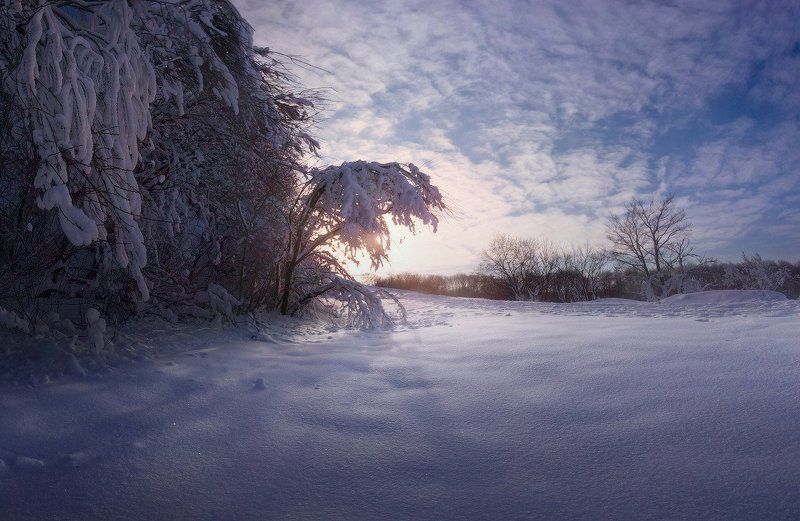 Один зимний деньphoto preview