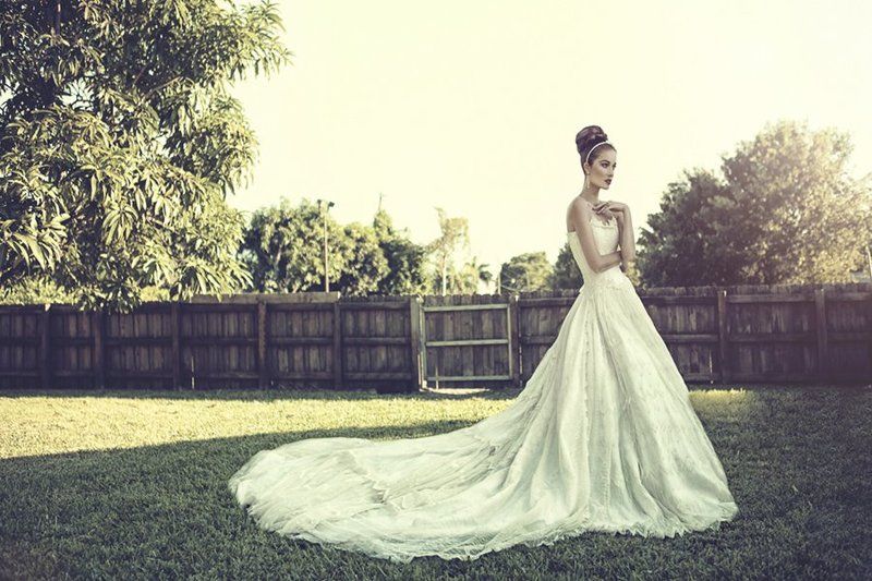 Dazzling Damaphoto preview