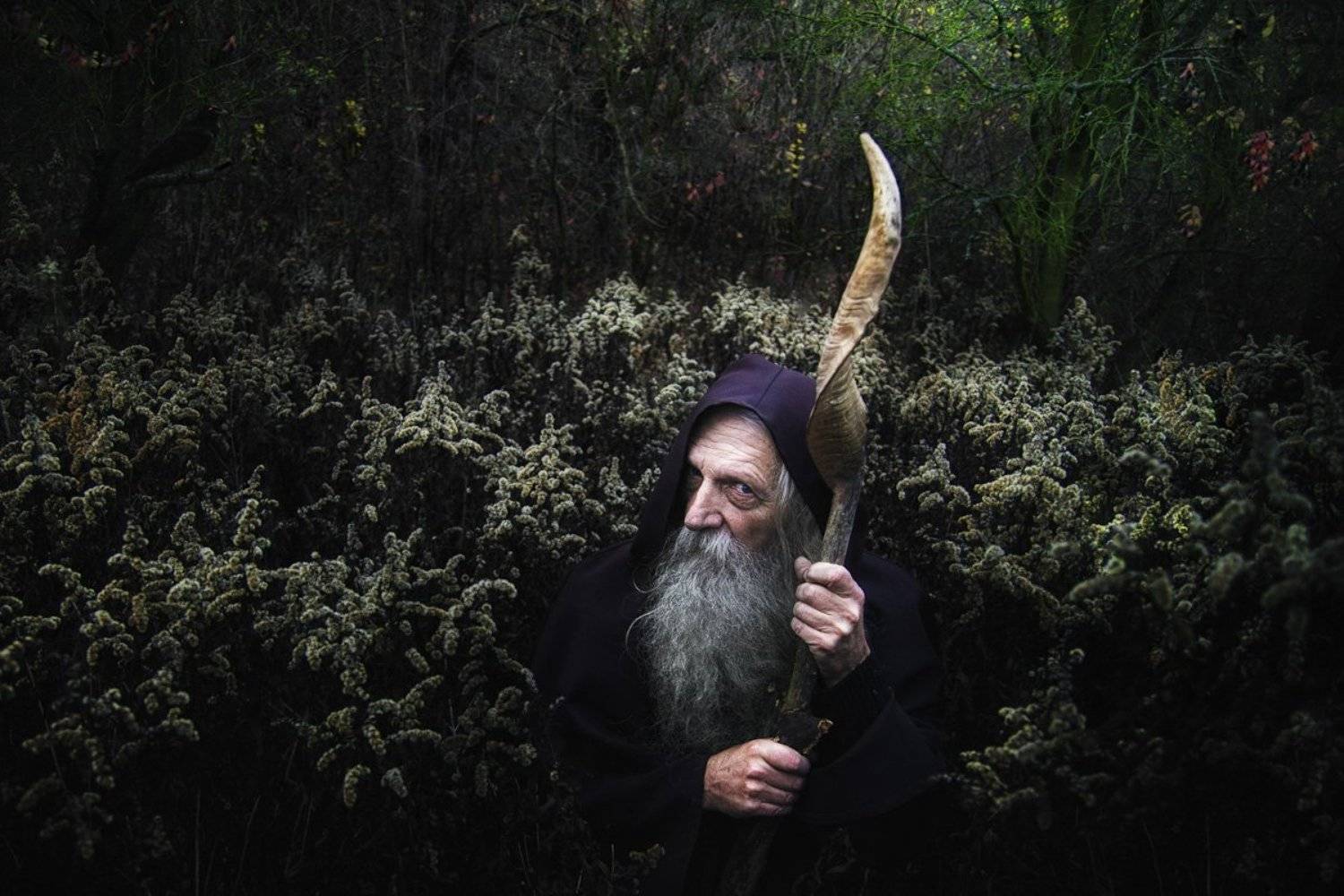 raven forest, mag, driud, old, stick, green, color, portrait, human, Rafał Kurs