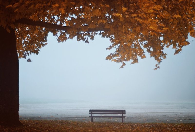 Zen фото превью