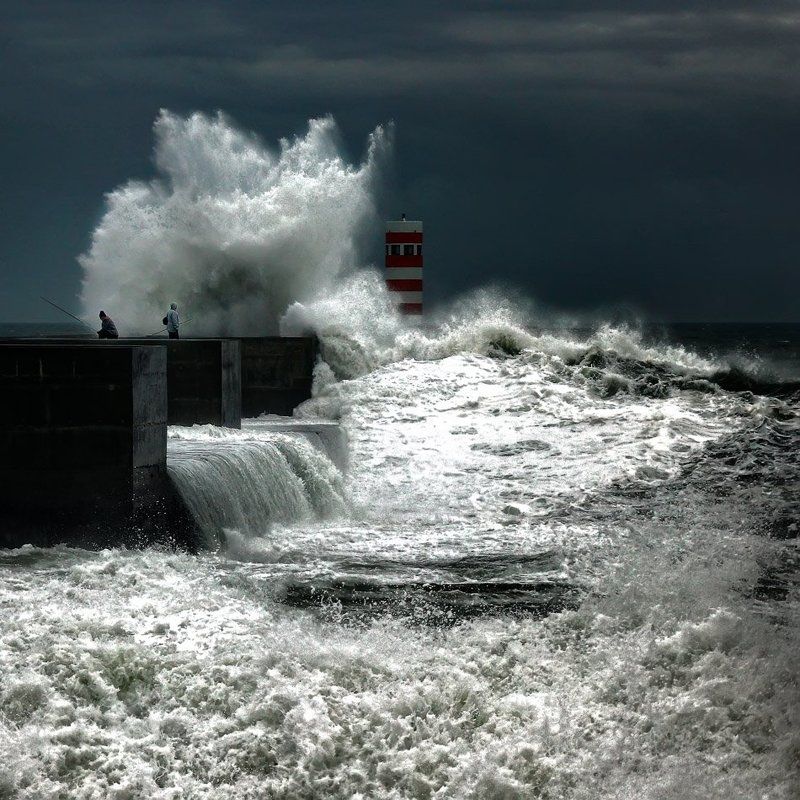 Got the lifephoto preview