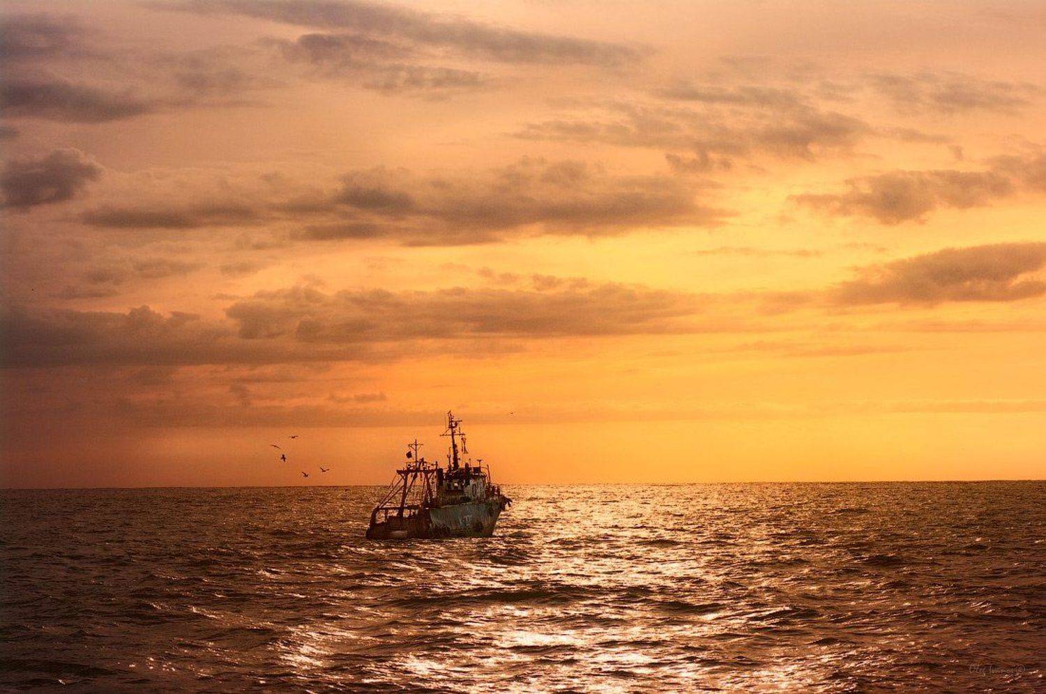 Рыбалка в теплых тонах. Автор: Олег Иванов , Олег Иванов