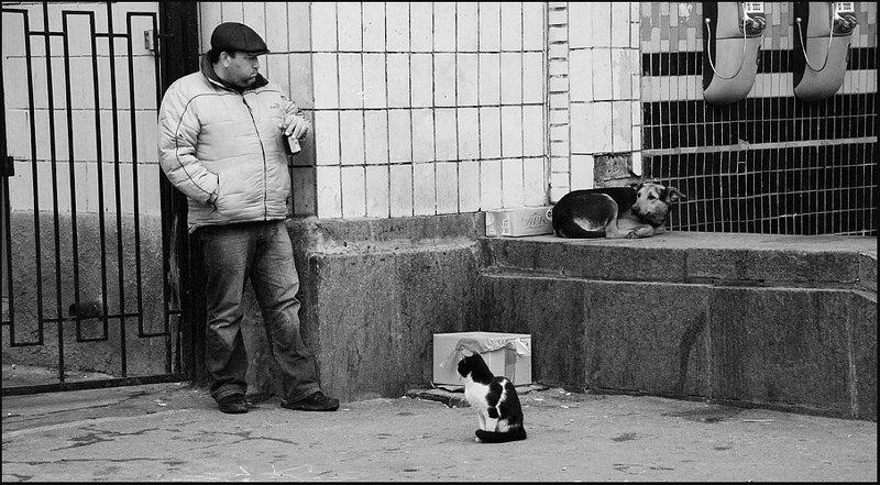 О взглядах..photo preview