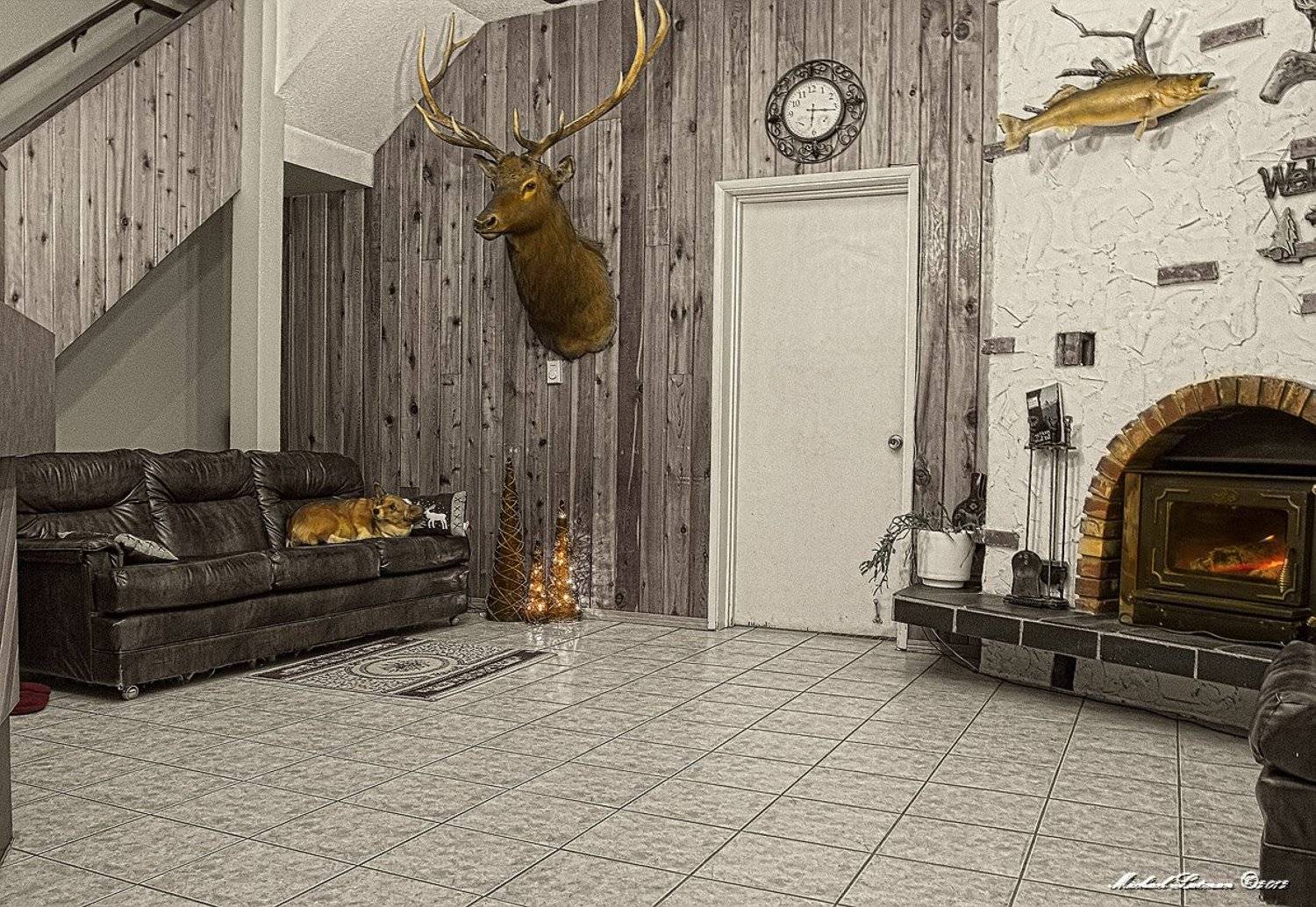 собака, олень, лосось, камин, огонь, новый, год, зима, тепло, Michael Latman