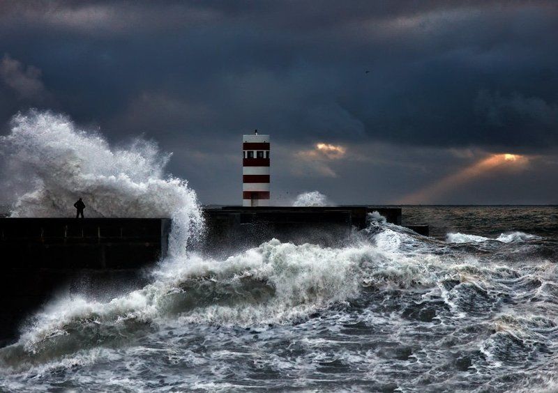 walkaboutphoto preview