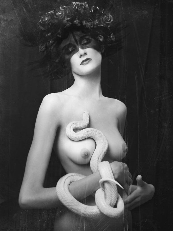 Harmoniaphoto preview