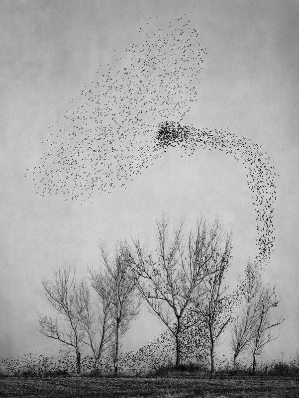 Is there anybody out there?photo preview