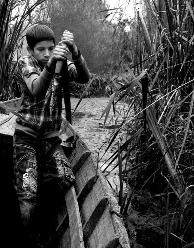 Через камышиphoto preview