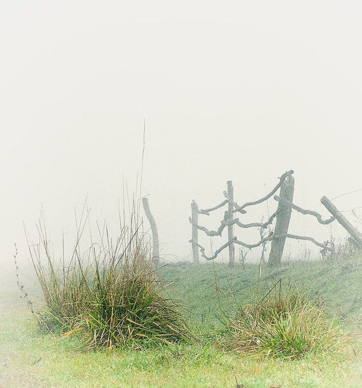 Утро туманноеphoto preview