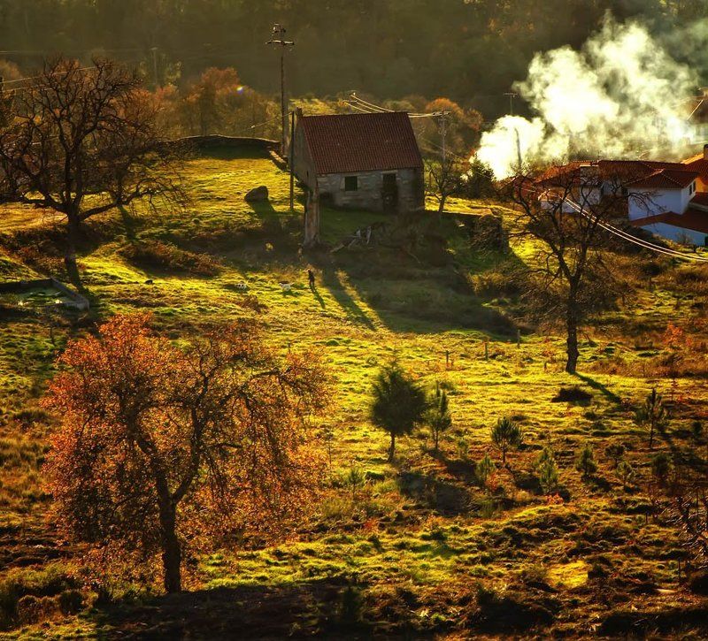 peacefulphoto preview