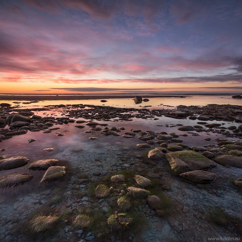 белое, море, север 01:41  Белое мореphoto preview