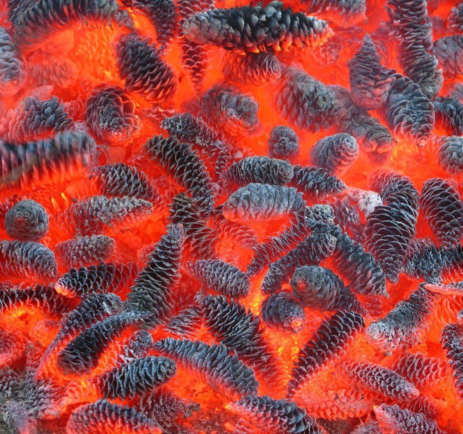 Огненная текстура. Автор: Nelly B. , Nelly B.