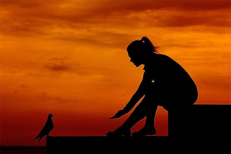 На закате.photo preview