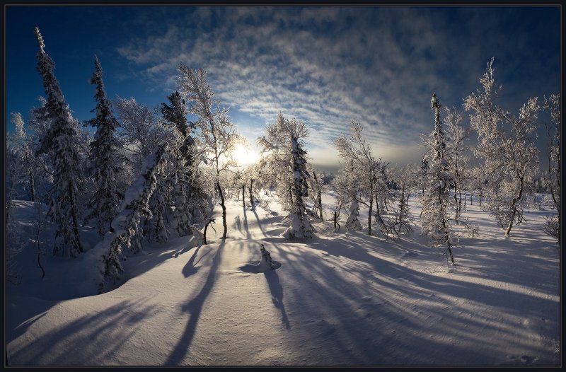 шория, шерегеш, лес, елки, снег, зима, солнце, иней, ярославский, виталий Солнце Иней Зажигаетphoto preview