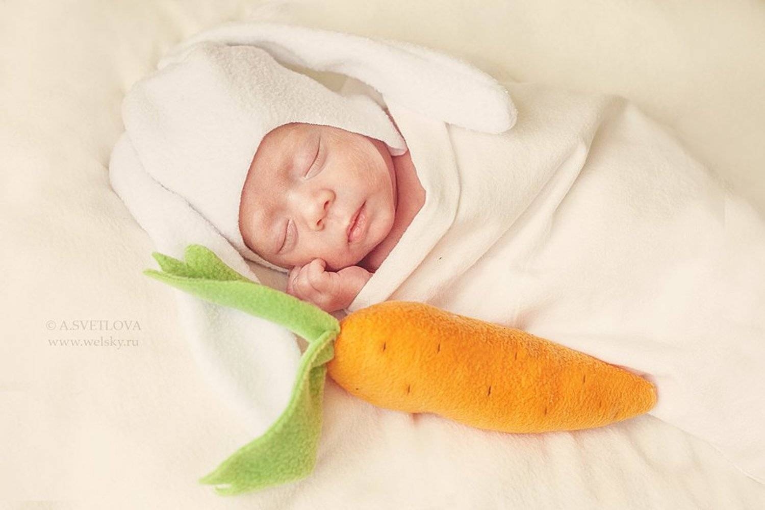 , Светлова Анастасия