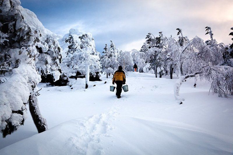 Буддийские монахиphoto preview