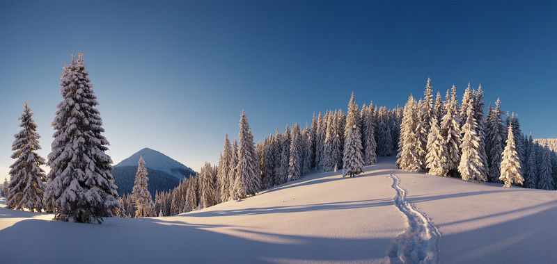 Снегами на г. Сынякphoto preview