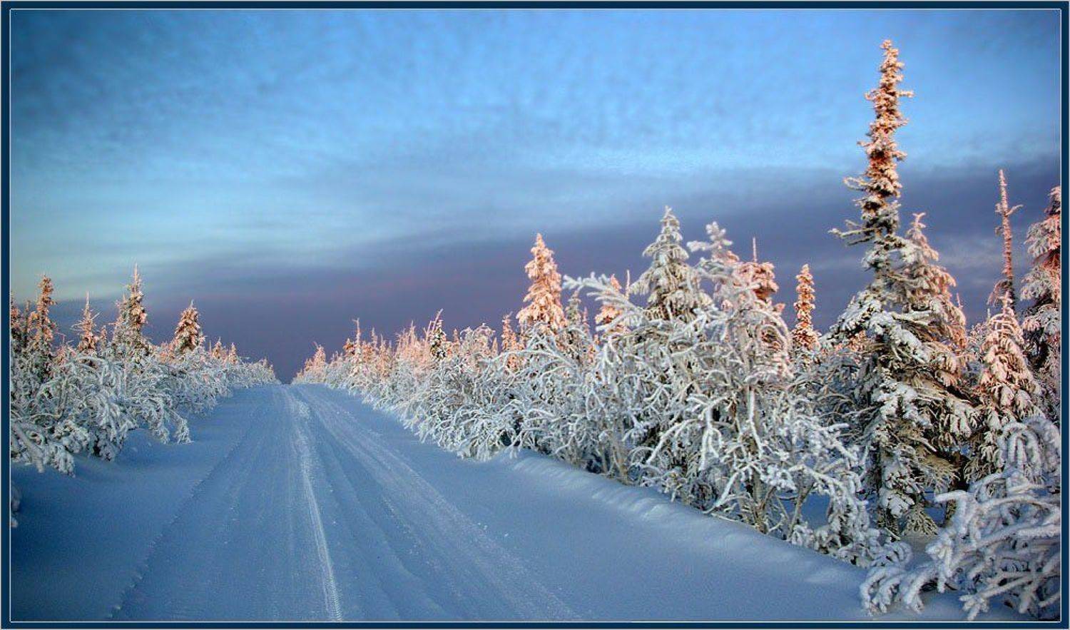 Дорога на Север. Автор: Солодухин Виктор дорога, север, мороз, тайга, зима, Солодухин Виктор
