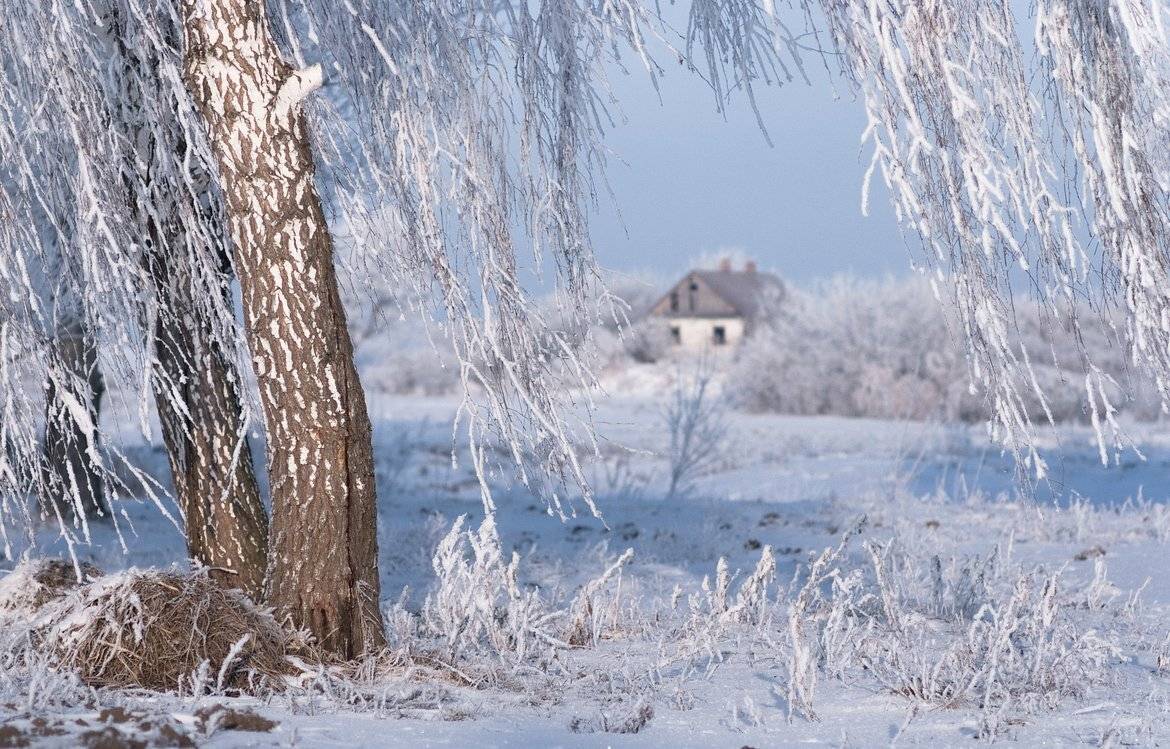 воспоминания.... Автор: Николай Шахманцир , Николай Шахманцир