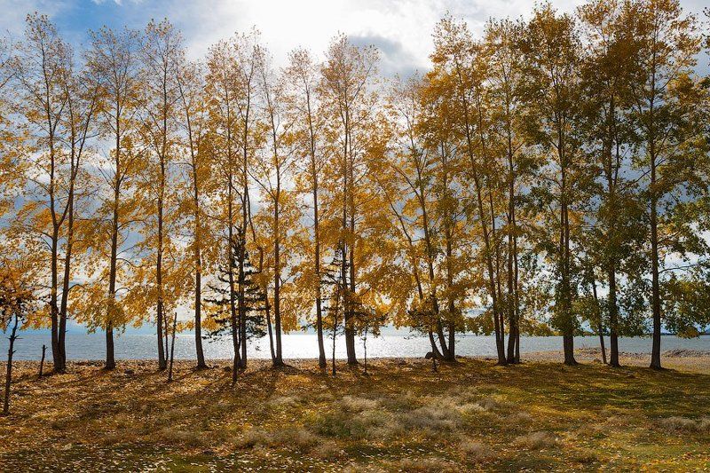 байкал Северный Байкалphoto preview