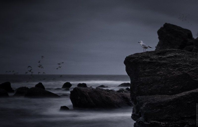 Chkalov beach, Odessaphoto preview