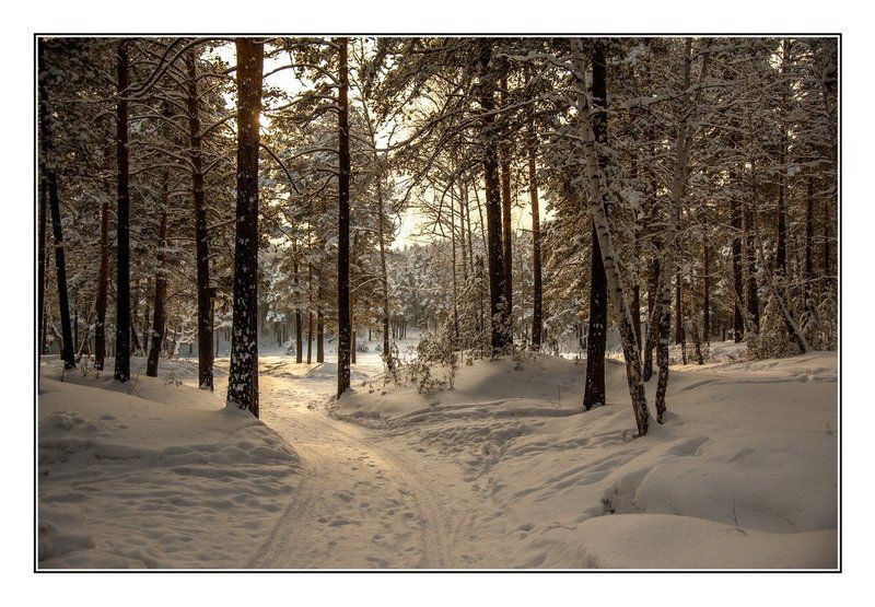 УТРО, в лесу...photo preview