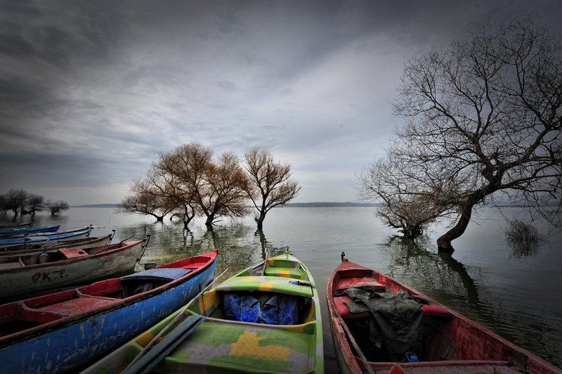 * Yüreğimle .... *photo preview