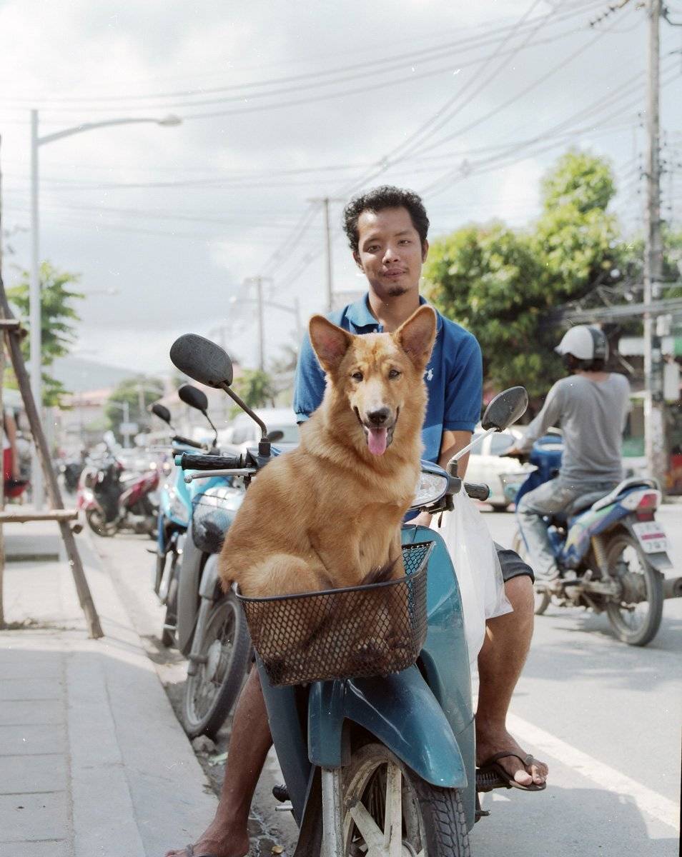 , Степан Каморный